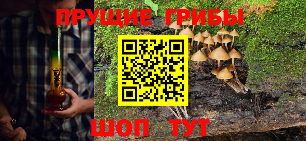 Краснотурьинск  Галлюциногенные грибы мухоморы  Вход с VPN 